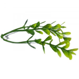 Пучки веточек зелени для украшения цветов из мыла